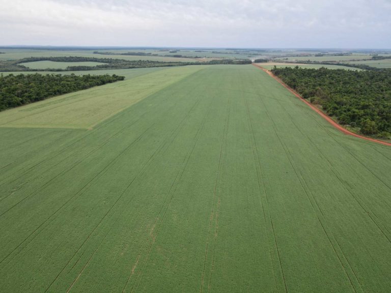 DJI_0019