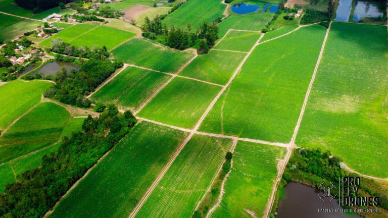 DJI_0482
