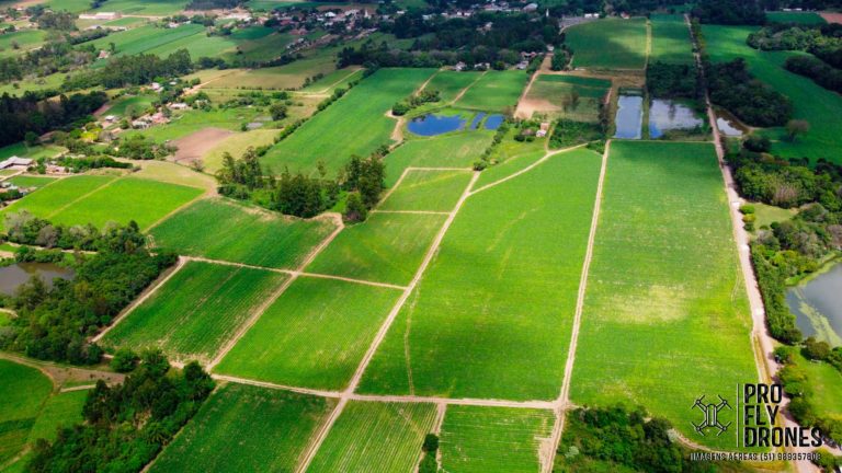 DJI_0483