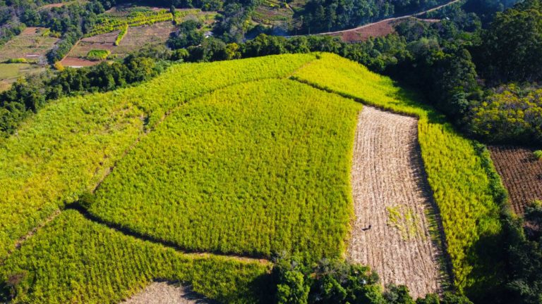 DJI_0813